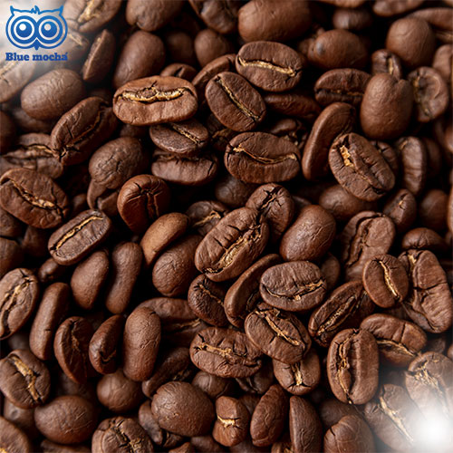 5 สายพันธุ์เมล็ดกาแฟ ยอดนิยมแห่งปี 2025 ค้นพบรสชาติอันหลากหลาย พร้อมเคล็ดลับการเลือกเมล็ดกาแฟ และวิธีชงกาแฟเบื้องต้นสำหรับมือใหม่ อ่านเลย !