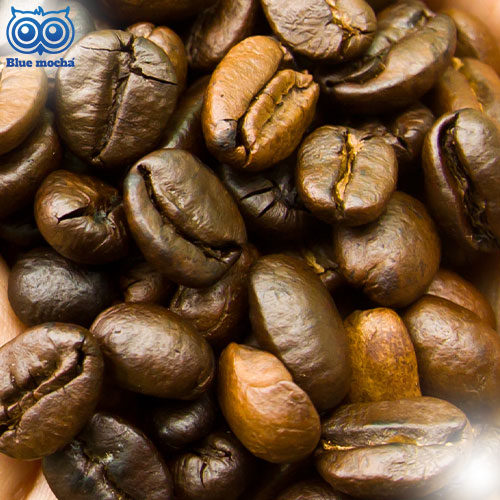 5 สายพันธุ์เมล็ดกาแฟ ยอดนิยมแห่งปี 2025 ค้นพบรสชาติอันหลากหลาย พร้อมเคล็ดลับการเลือกเมล็ดกาแฟ และวิธีชงกาแฟเบื้องต้นสำหรับมือใหม่ อ่านเลย !