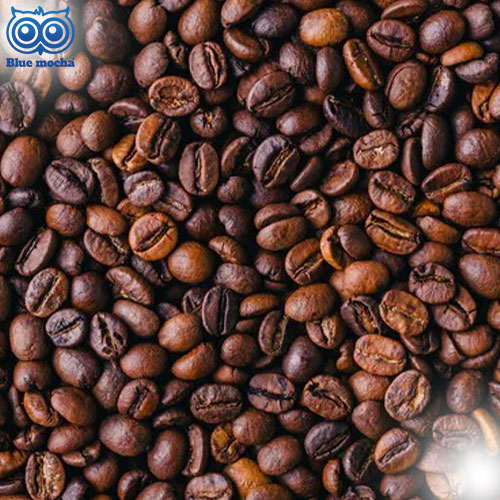 5 สายพันธุ์เมล็ดกาแฟ ยอดนิยมแห่งปี 2025 ค้นพบรสชาติอันหลากหลาย พร้อมเคล็ดลับการเลือกเมล็ดกาแฟ และวิธีชงกาแฟเบื้องต้นสำหรับมือใหม่ อ่านเลย !