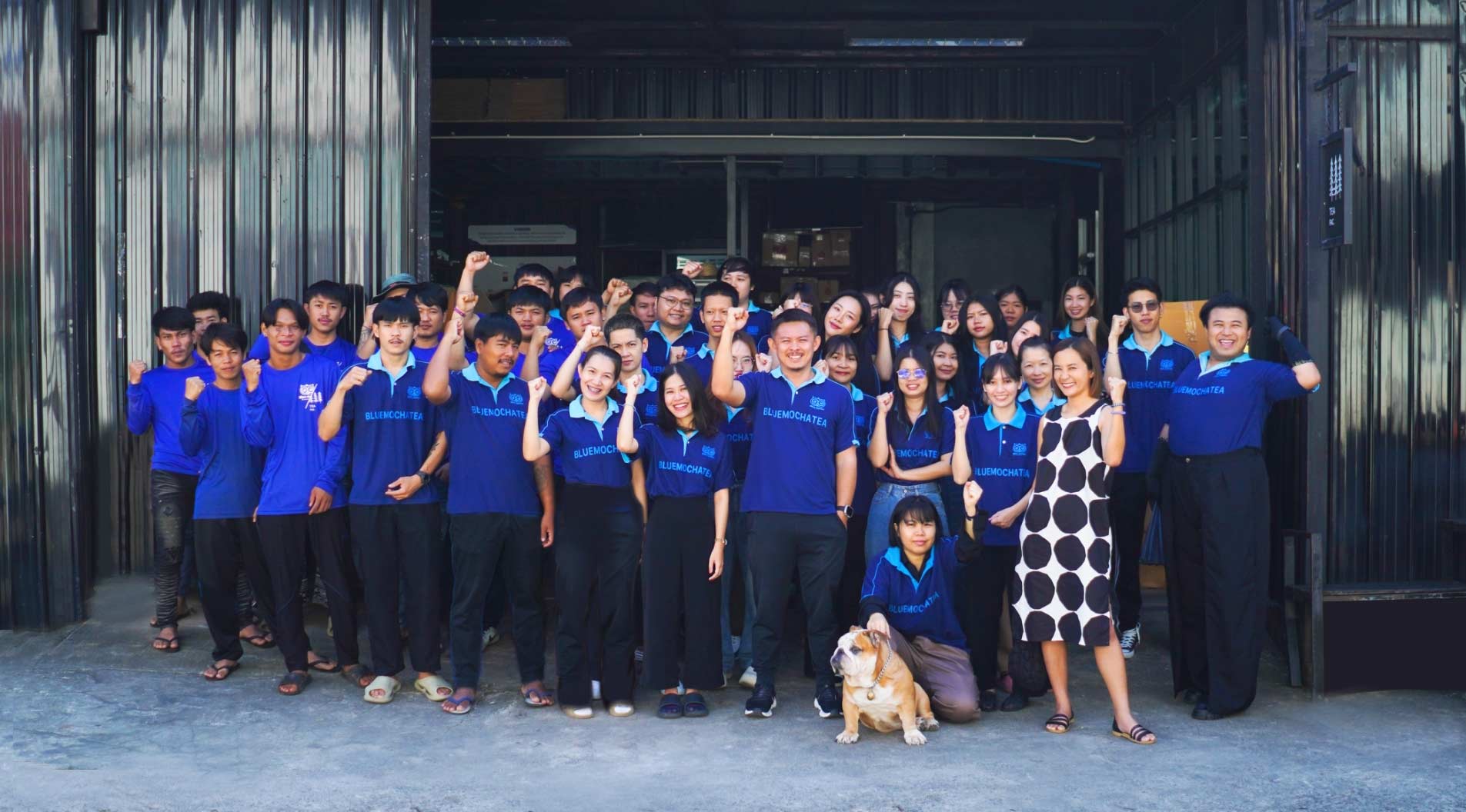 ทีมงานบลูมอคค่า bluemocha teams