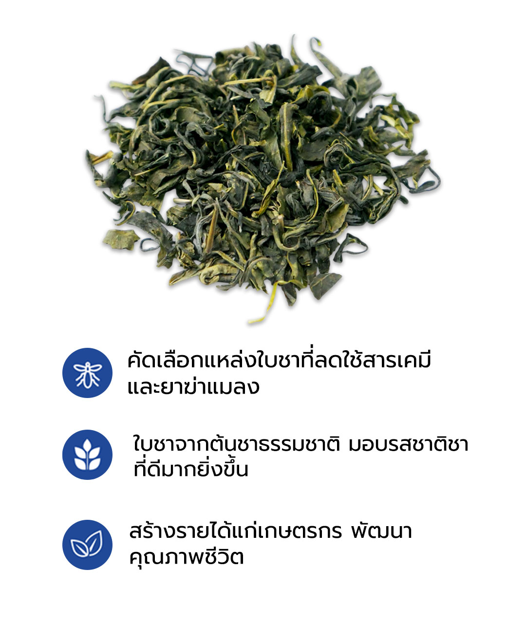 ใบชาปลอดสารพิษ ใบชาบลูมอคค่า