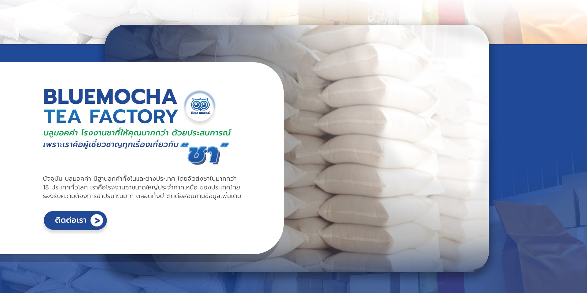 บลูมอคค่า โรงคั่วชา  bluemocha tea factory chiang mai thailand