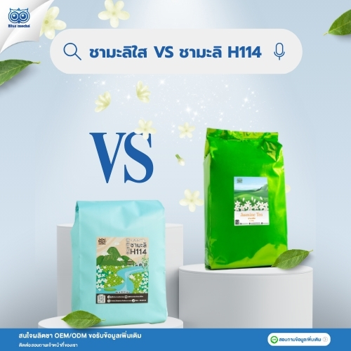 ไขข้อสงสัย ชามะลิใส และ ชามะลิ H114 ต่างกันที่จุดไหน? รีวิวเปรียบเทียบ กลิ่น สี รสชาติ พร้อมแนะนำสูตรชงและกลยุทธ์สำหรับร้านกาแฟ